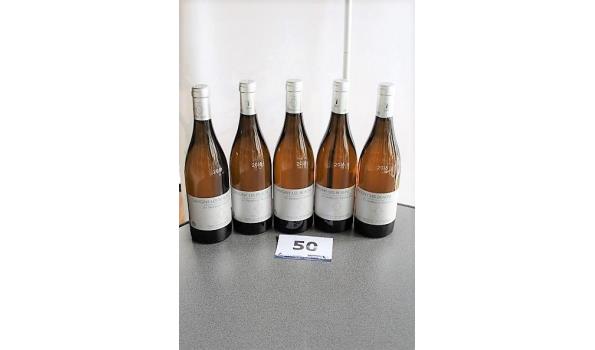 5 flessen à 75cl witte wijn, Savigne-les-Beaune, 1er cru, 2016